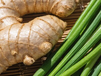 ginger and horsetail benefits